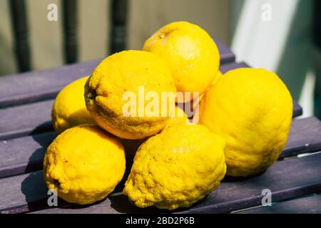 Limassol Zypern 6. April 2020 Blick auf verschiedene Zitronen, die in den Straßen von Limassol auf Zypern wachsen Stockfoto