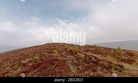 Foggy Ticknock-Berglandschaft mit Heideflächen, Dublin, Irland Stockfoto