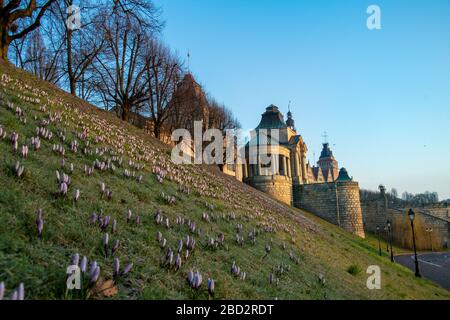 Haupttouristenattraktion von Stetin Waly Chrobrego Stockfoto