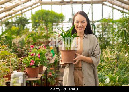Porträt der glücklichen hübschen asiatischen Frau, die mit Topfpflanzen in modernem Hothouse steht Stockfoto
