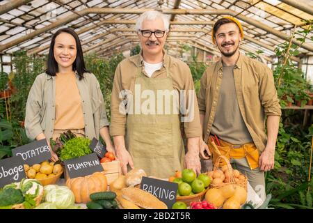 Portrait des positiven Senioren-Landwirts in der Schürze, der Bio-Lebensmittel mit jungen Assistenten auf dem Bio-Markt verkauft Stockfoto