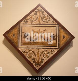 Аn antike Mosaik mit einem Hahn in den Ausgrabungen der antiken Stadt Pompeji gefunden. Archäologisches Nationalmuseum in Neapel, Italien. Stockfoto