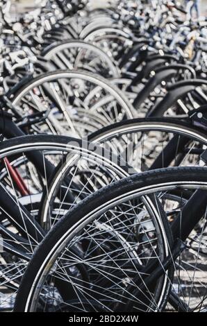 Details zu den Rädern der geparkten Fahrräder in Venlo, Niederlande. Einige der verschwommenen, selektiven Fokussierung. Nahaufnahme des vertikalen Fotos mit Filter. Holländisches Fahrradparkplatz. Stadtradfahren. Stockfoto