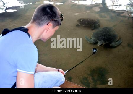 Der junge brünette Kerl mit Kamera setzt Schildkröte ins Wasser, der Freiwillige rettet Schildkröten, Tierschutz, der Junge fotografiert Schildkröte und rettet Tiere S Stockfoto