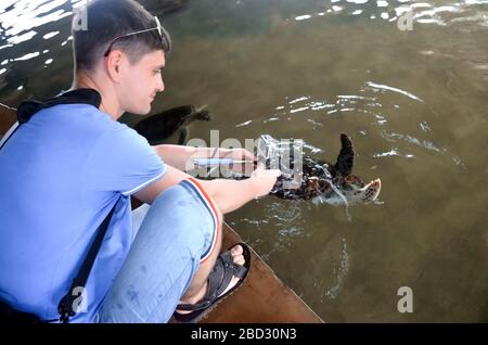 Der junge brünette Kerl mit Kamera setzt Schildkröte ins Wasser, der Freiwillige rettet Schildkröten, Tierschutz, der Junge fotografiert Schildkröte und rettet Tiere S Stockfoto