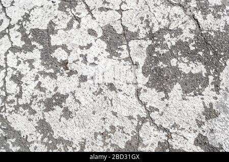 Struktur von grauem Asphalt mit alten Flecken verschütteter weißer Farbe. Alte Flecken weißer Farbe auf einer gerissenen Asphaltoberfläche. Hintergrund. Stockfoto