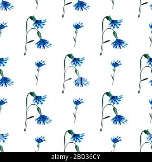 Nahtloses Muster mit Aquarellblumen. Handgezeichnetes Zierwerk mit blauer Wildblume. Perfekt für Grußkarten, Einladungen, Verpackungspapier Stockfoto