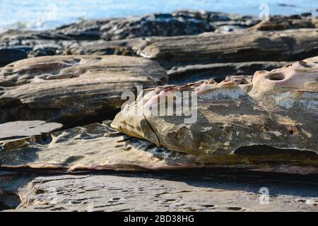 Schließen Sie riesige Steine Textur an der Küste. Große graue Felsen am stillen Inselstrand in Thailand, Asien am sonnigen Tag. Bild mit hinterer Textur. Stockfoto