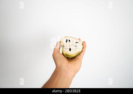 Weibliche Hand, die einen drei reifen süßlichen puddingapfel auf weißem Hintergrund hält. Stockfoto