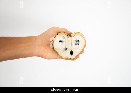 Weibliche Hand, die einen drei reifen süßlichen puddingapfel auf weißem Hintergrund hält. Stockfoto