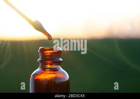 Natürliche Heilmittel, Aromatherapie - Tropfflaschen und Flaschen. Bio-Kosmetik, braune Flasche. Stockfoto