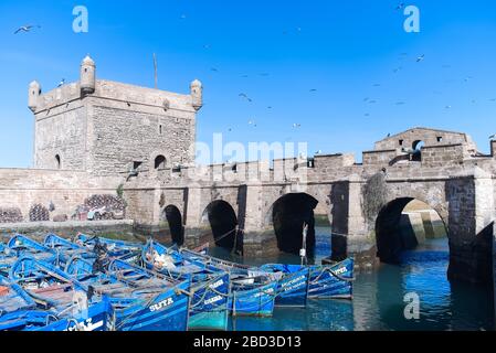 Die Zitadelle Essaouira, die Scala des Ports in der Altstadt von Medina, mit den berühmten blauen Booten im Hafen und einer Menge Möwen, die über dem Kopf fliegen. Stockfoto