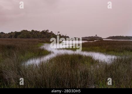 SALD Marsh Habitat an der Küste des Golf von Mexiko, Levy County, FL Stockfoto