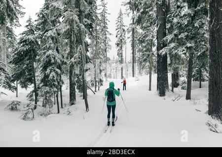 Zwei Langläufer auf einer Loipe in der Nähe von Mt. Haube in Oregon. Stockfoto