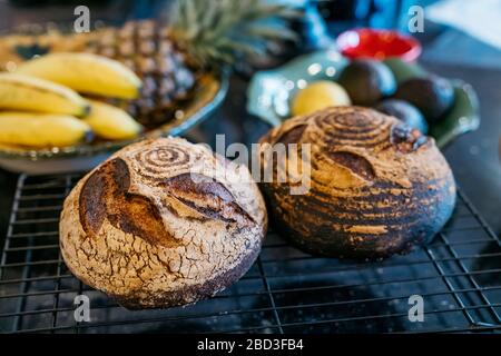 Zwei Laibe mit hausgemachtem Sauerteig, das auf dem Gestell in der heimischen Küche gekühlt wird Stockfoto