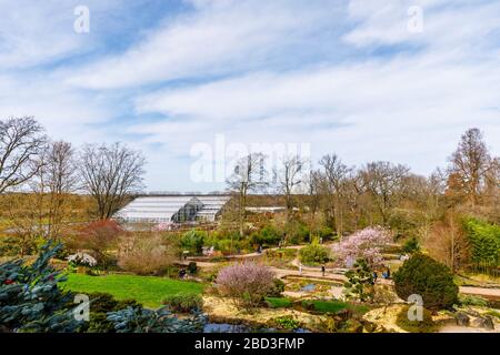 Blick auf das kultige moderne Glasshouse vom Rockery im RHS Garden, Wisley, Surrey im Frühling an einem sonnigen blauen Tag mit einem wolkigen blauen Himmel Stockfoto