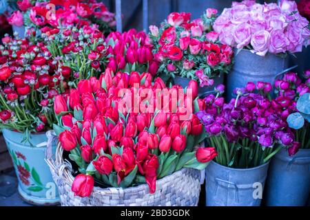 Eine Vielzahl von Farben rot und violett Blumen in der Nähe von Store in London. Große Blumensträuße in Zinnvasen. Stockfoto