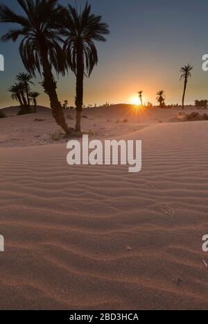 Sonnenuntergang vor den Toren der Wüste Sahara in M'Hamid El Ghizlane, Marokko. Stockfoto