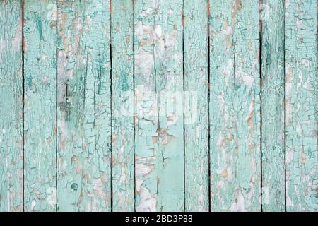 Hintergrund aus Holzplatten mit Peeling-Lack Draufsicht. Grün, alte, gerissene Farbe auf einer Holzoberfläche. Holzbohlen mit alter verblasster Ölfarbe Stockfoto