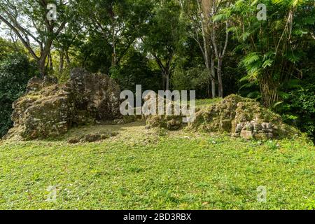 Maya-Pyramiden im Dschungel von Petén in Uxactún, Guatemala Stockfoto
