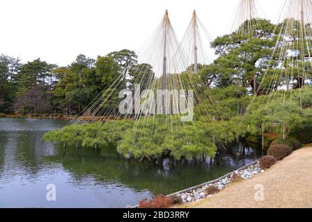 Kenroku-en in Kanazawa, Ishikawa, Japan, einer der drei großen Gärten Japans. Stockfoto