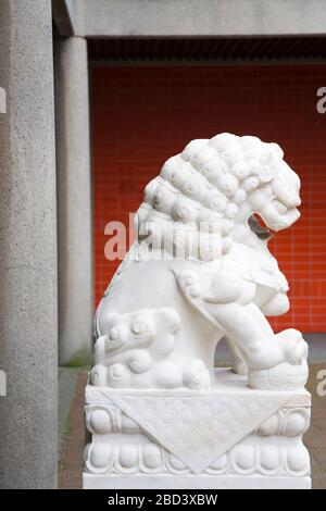 Löwenstatue in Chinatown, Vancouver, British Columbia, Kanada, Nordamerika Stockfoto