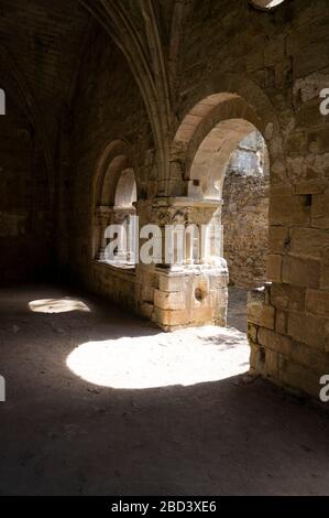 Ruinen der zerfallenden alten Abtei in Alet-les-Bains, Departement Aude, Frankreich Stockfoto