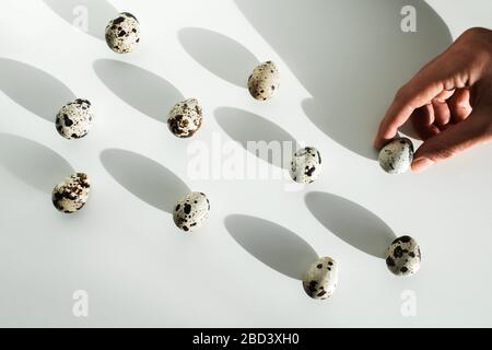 Frau Hand nimmt ein Wachtelei aus dem Haufen des anderen auf weißem Hintergrund. Die richtige Wahl. Ungewöhnliches osterkonzept. Stockfoto