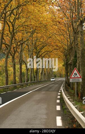 Herbstblick auf die Autobahn D118 am Fluss Aude in Südfrankreich Stockfoto