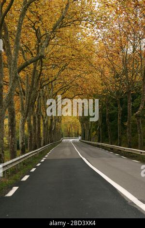 Herbstblick auf die Autobahn D118 am Fluss Aude in Südfrankreich Stockfoto