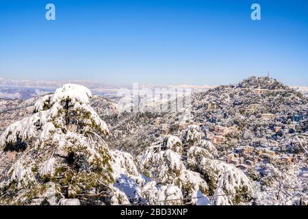 Nach Schneefall eine sehr schöne Stadt in Shimla Stockfoto