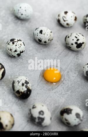 Viele Wachteleier auf grauem Betonzementhintergrund. Ein Ei zerbrochen, orangefarbenes Eigelb und Protein. Osterkochen Konzept. Stockfoto