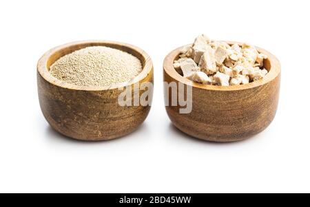 Frische und getrocknete Hefeblocks isoliert auf weißem Hintergrund. Stockfoto