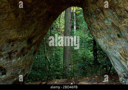 Angel Windows, Red River Gorge Geological Area, Daniel Boone National Forest, Kentucky Stockfoto