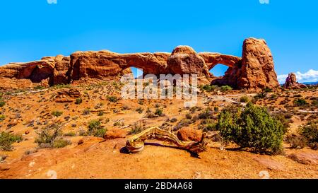 Der South Window Arch in der Windows Sektion in der Wüstenlandschaft des Arches National Park, Utah, USA Stockfoto