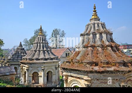 Der Pashupatinath-Tempel ist ein berühmter und heiliger Hindu-Tempelkomplex, der sich am Ufer des Bagmati-Flusses befindet. Es ist UNESCO-Weltkulturerbe. Stockfoto