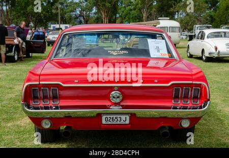 Rückansicht 1968 Ford Mustang V8 Hardtop-Coupé der ersten Generation. Stockfoto