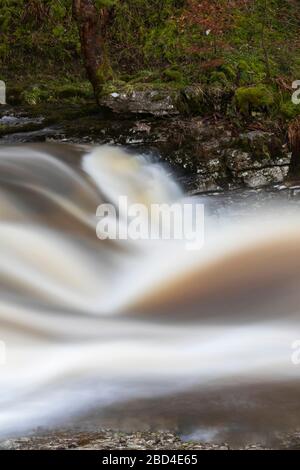 Stainforth Force Wasserfall im Yorkshire Dales National Park. Stockfoto