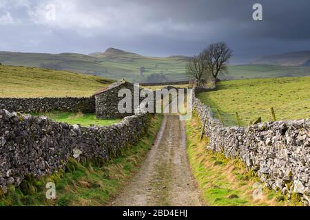 Goat Scar Lane im Yorkshire Dales National Park mit Smearsett und Pot Narben in der Ferne. Stockfoto