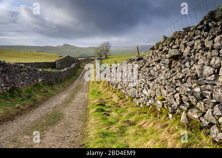 Goat Scar Lane im Yorkshire Dales National Park mit Smearsett und Pot Narben in der Ferne. Stockfoto