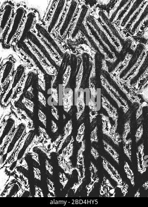 Alte verrostete, geschälte, geschrägte Metallvektor-Plattentextur mit Löchern beundert. EPS8-Abbildung. Schwarz-weißer Grunge Hintergrund. Stock Vektor