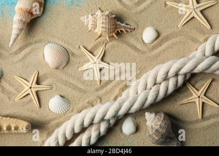 Seesterne, Seetaschen und Seil auf dem Meeressandgrund, nah oben Stockfoto