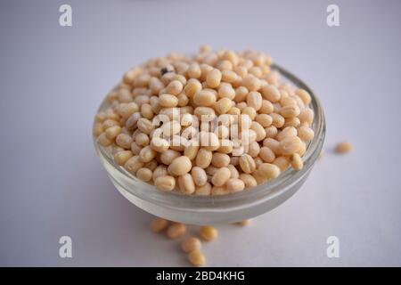 Geschälte schwarze Gram Dal/schwarze Beluga-Linsen in EINER Glasschale auf weißem Hintergrund Nahaufnahme Foto Bild Stockfoto
