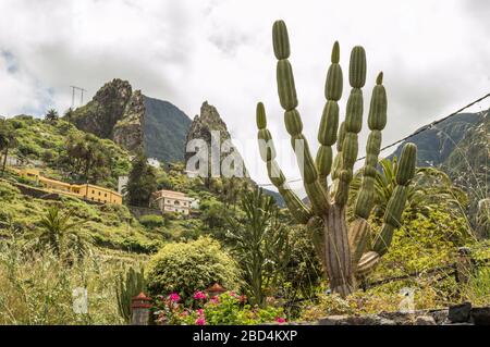 Roques de Pedro und Petra hinter einem wunderschönen Kaktus, der vom Tal in La Hermigua auf La Gomera aus gesehen wird. April 2019. La Gomera, Santa Cruz de Tenerif Stockfoto