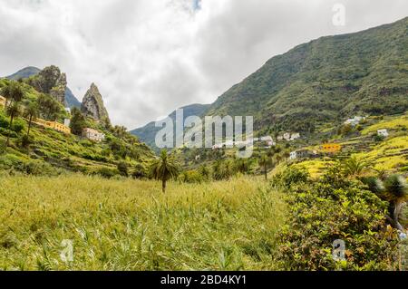 Roques de Pedro und Petra hinter einer schönen Palme aus dem Tal in La Hermigua auf La Gomera. April 2019. La Gomera, Santa Cruz de Tene Stockfoto