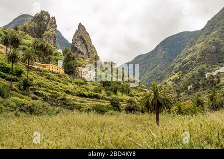 Roques de Pedro und Petra hinter einer schönen Palme aus dem Tal in La Hermigua auf La Gomera. April 2019. La Gomera, Santa Cruz de Tene Stockfoto