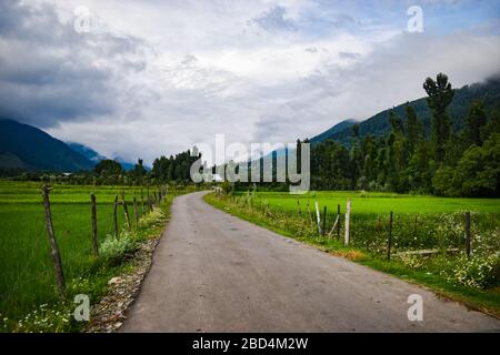 Schöner Blick auf die Landschaft in Kaschmir, Indien. Stockfoto