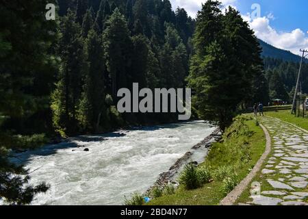 Blick auf den Fluss Lidder bei Pahalgam Kashmir Indien. Stockfoto