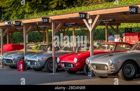 Eine Reihe von Ferrari 250 GT SWB, Kinrara Trophäe, im Fahrerlager beim Goodwood Revival 2019 West Sussex UK Stockfoto