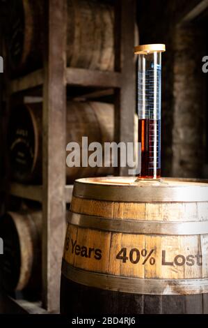 Probe von 18 Jahre altem Jameson Irish Whiskey mit 40% Verlust Visualisierung als Angel's Share in der Old Jameson Whiskey Distillery in Midleton, County Cork, Irland Stockfoto